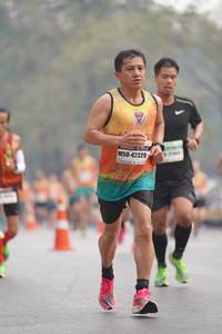 BIB: 42329
                            <button type="button" onclick="openModal(8320539)" class="btn btn-primary btn-sm float-right btn-popup" data-toggle="modal" data-target=".modal-high-quality">
                        <i class="fas fa-shopping-cart"></i> Add to Cart
                    </button>
                                            <button type="button" onclick="isThisMe(8320539, true)" class="btn btn-success btn-sm float-right btn-popup btn-isme hidden" data-toggle="tooltip" data-placement="bottom" title="นี่คือรูปของคุณใช่ไหม คลิกที่นี่เพื่อเอาเข้าอัลบั้ม">
                        <i class="fas fa-plus"></i> Add to album
                    </button>
                    <button type="button" onclick="isThisMe(8320539, false)" class="btn btn-warning btn-sm float-right btn-popup btn-isnotme hidden">
                        <i class="fas fa-ban"></i> Remove from album
                    </button>